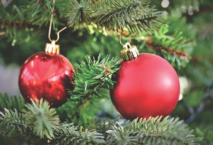 sapin-noel-recyclage-sables-dolonne