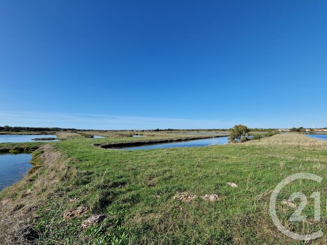 terrain à vendre - 22140.0 m2 - L ILE D OLONNE - 85 - PAYS-DE-LOIRE - Century 21 Bleu Marine