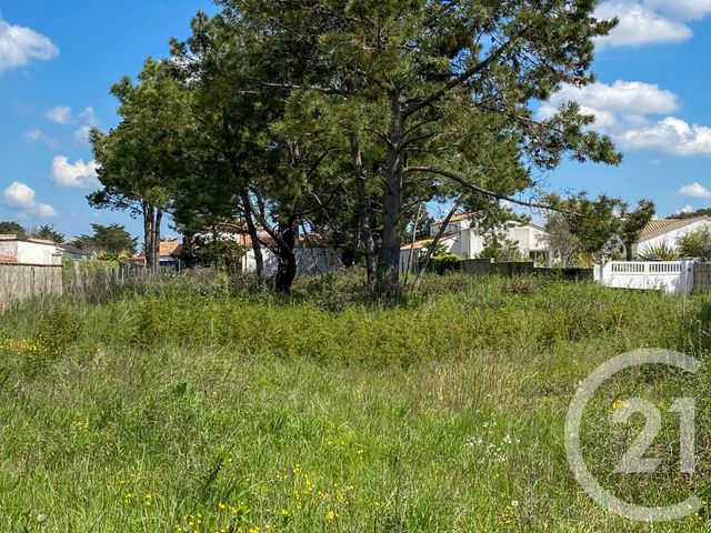 terrain à vendre - 1208.0 m2 - OLONNE SUR MER - 85 - PAYS-DE-LOIRE - Century 21 Bleu Marine