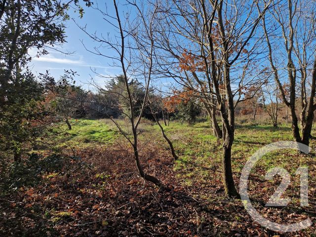 terrain à vendre - 3655.0 m2 - L ILE D OLONNE - 85 - PAYS-DE-LOIRE - Century 21 Bleu Marine