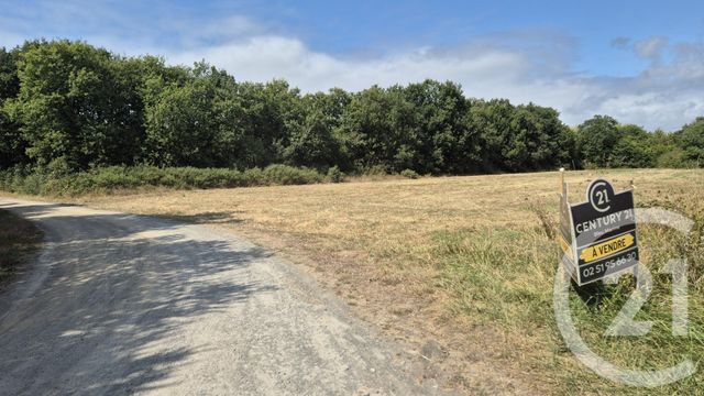 Afficher la photo en grand terrain à vendre - 3321.0 m2 - OLONNE SUR MER - 85 - PAYS-DE-LOIRE - Century 21 Bleu Marine