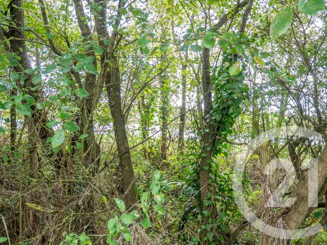 terrain à vendre - 839.0 m2 - L ILE D OLONNE - 85 - PAYS-DE-LOIRE - Century 21 Bleu Marine