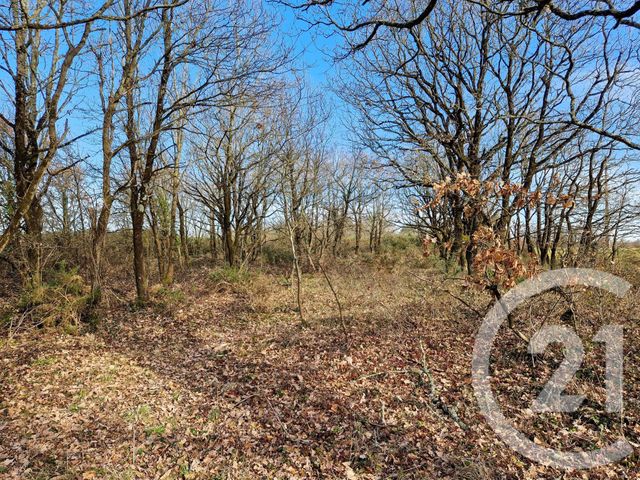terrain à vendre - 7711.0 m2 - L ILE D OLONNE - 85 - PAYS-DE-LOIRE - Century 21 Bleu Marine