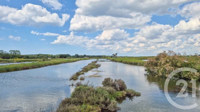 terrain à vendre - 12025.0 m2 - L ILE D OLONNE - 85 - PAYS-DE-LOIRE - Century 21 Bleu Marine