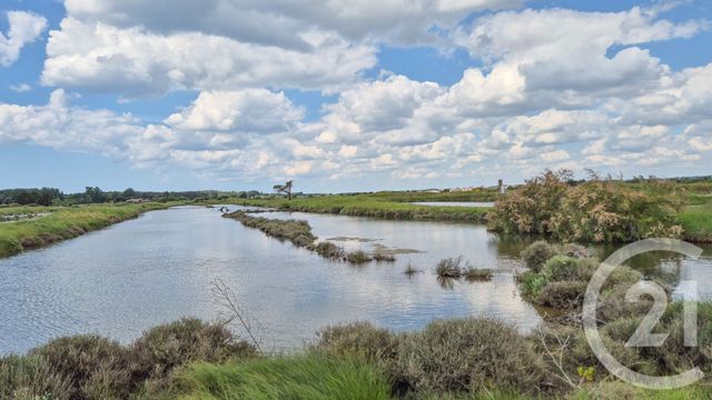 terrain à vendre - 12025.0 m2 - L ILE D OLONNE - 85 - PAYS-DE-LOIRE - Century 21 Bleu Marine