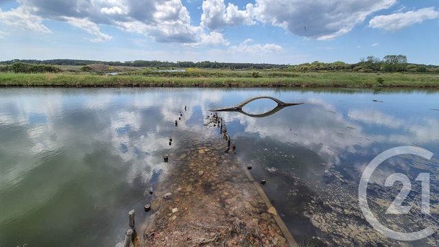 terrain à vendre - 12025.0 m2 - L ILE D OLONNE - 85 - PAYS-DE-LOIRE - Century 21 Bleu Marine