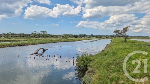 terrain à vendre - 12025.0 m2 - L ILE D OLONNE - 85 - PAYS-DE-LOIRE - Century 21 Bleu Marine