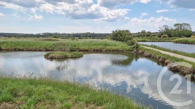 terrain à vendre - 12025.0 m2 - L ILE D OLONNE - 85 - PAYS-DE-LOIRE - Century 21 Bleu Marine