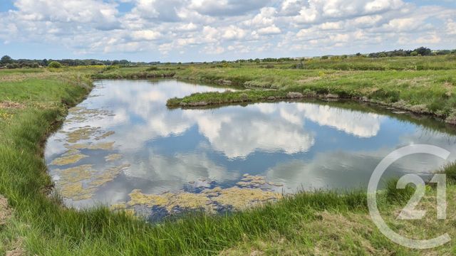 terrain à vendre - 12025.0 m2 - L ILE D OLONNE - 85 - PAYS-DE-LOIRE - Century 21 Bleu Marine
