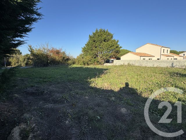 terrain à vendre - 711.0 m2 - CHATEAU D OLONNE - 85 - PAYS-DE-LOIRE - Century 21 Bleu Marine