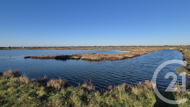 terrain à vendre - 39590.0 m2 - OLONNE SUR MER - 85 - PAYS-DE-LOIRE - Century 21 Bleu Marine