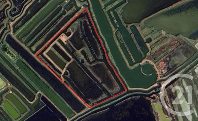 terrain à vendre - 39590.0 m2 - OLONNE SUR MER - 85 - PAYS-DE-LOIRE - Century 21 Bleu Marine