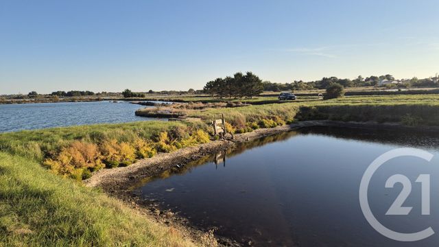 terrain à vendre - 39590.0 m2 - OLONNE SUR MER - 85 - PAYS-DE-LOIRE - Century 21 Bleu Marine