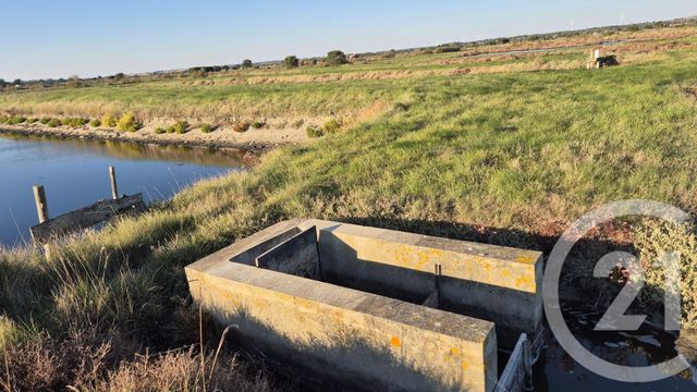 terrain à vendre - 39590.0 m2 - OLONNE SUR MER - 85 - PAYS-DE-LOIRE - Century 21 Bleu Marine