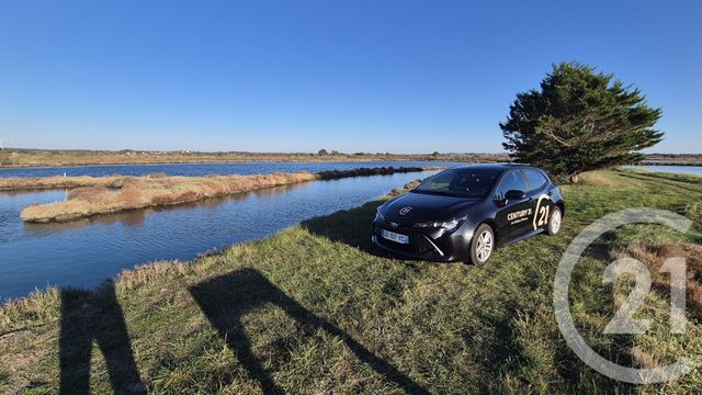 terrain à vendre - 39590.0 m2 - OLONNE SUR MER - 85 - PAYS-DE-LOIRE - Century 21 Bleu Marine