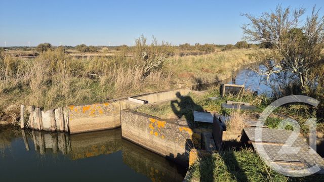 terrain à vendre - 39590.0 m2 - OLONNE SUR MER - 85 - PAYS-DE-LOIRE - Century 21 Bleu Marine