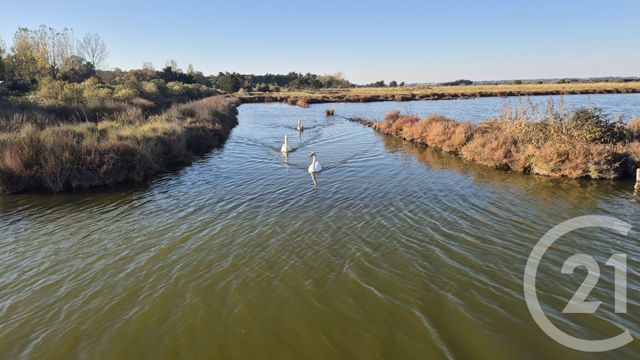terrain à vendre - 39590.0 m2 - OLONNE SUR MER - 85 - PAYS-DE-LOIRE - Century 21 Bleu Marine