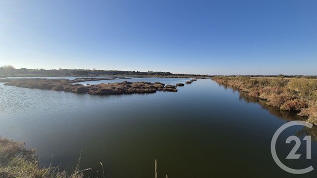 terrain à vendre - 39590.0 m2 - OLONNE SUR MER - 85 - PAYS-DE-LOIRE - Century 21 Bleu Marine