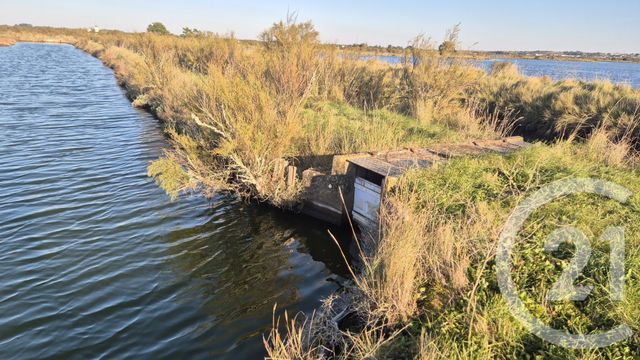 terrain à vendre - 39590.0 m2 - OLONNE SUR MER - 85 - PAYS-DE-LOIRE - Century 21 Bleu Marine