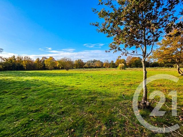 terrain à vendre - 2660.0 m2 - ST GEORGES DE POINTINDOUX - 85 - PAYS-DE-LOIRE - Century 21 Bleu Marine