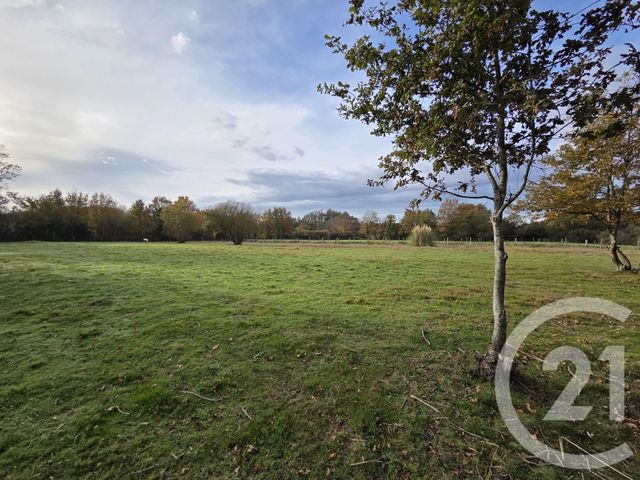 Terrain à vendre ST GEORGES DE POINTINDOUX