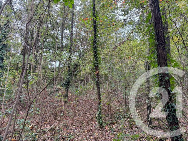 terrain à vendre - 2600.0 m2 - ST MATHURIN - 85 - PAYS-DE-LOIRE - Century 21 Bleu Marine