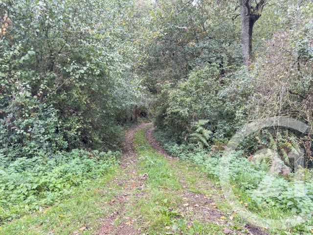 terrain à vendre - 2600.0 m2 - ST MATHURIN - 85 - PAYS-DE-LOIRE - Century 21 Bleu Marine