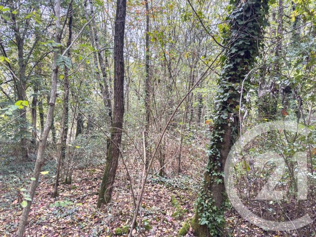 terrain à vendre - 2600.0 m2 - ST MATHURIN - 85 - PAYS-DE-LOIRE - Century 21 Bleu Marine