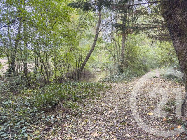 terrain à vendre - 2600.0 m2 - ST MATHURIN - 85 - PAYS-DE-LOIRE - Century 21 Bleu Marine