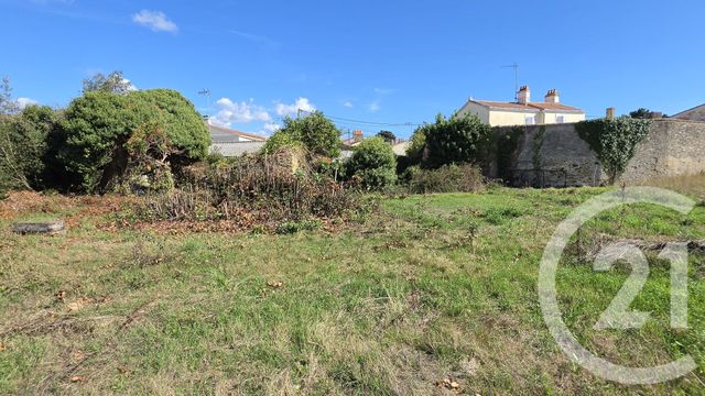 terrain - OLONNE SUR MER - 85