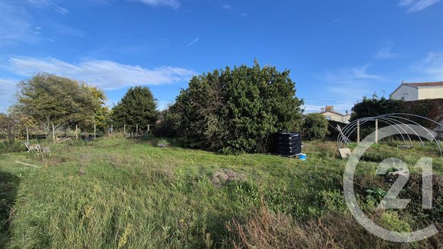terrain à vendre - 810.0 m2 - OLONNE SUR MER - 85 - PAYS-DE-LOIRE - Century 21 Bleu Marine
