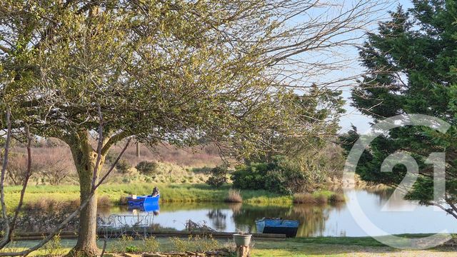 terrain à vendre - 810.0 m2 - OLONNE SUR MER - 85 - PAYS-DE-LOIRE - Century 21 Bleu Marine