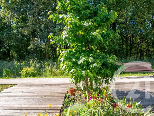 Appartement T2 à vendre - 2 pièces - 40.39 m2 - OLONNE SUR MER - 85 - PAYS-DE-LOIRE - Century 21 Bleu Marine