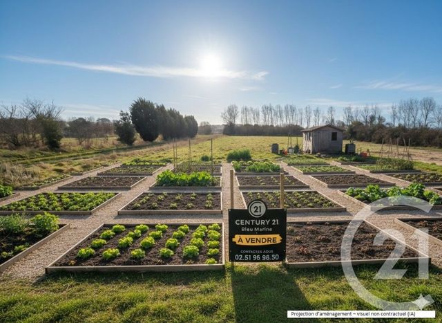 terrain à vendre - 800.0 m2 - OLONNE SUR MER - 85 - PAYS-DE-LOIRE - Century 21 Bleu Marine