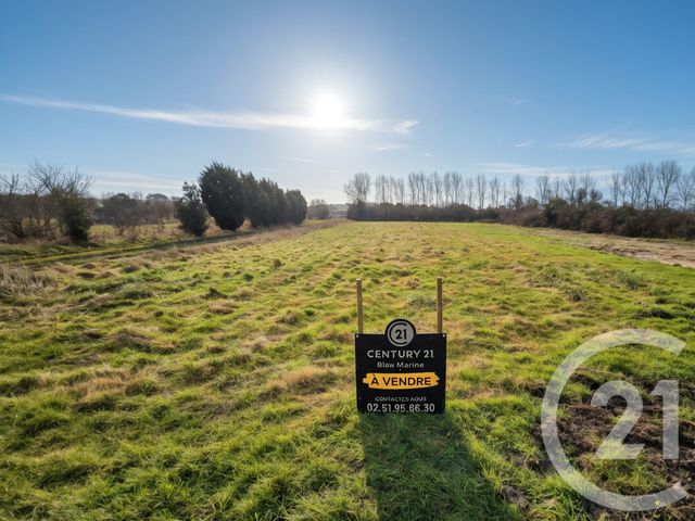 terrain à vendre - 800.0 m2 - OLONNE SUR MER - 85 - PAYS-DE-LOIRE - Century 21 Bleu Marine