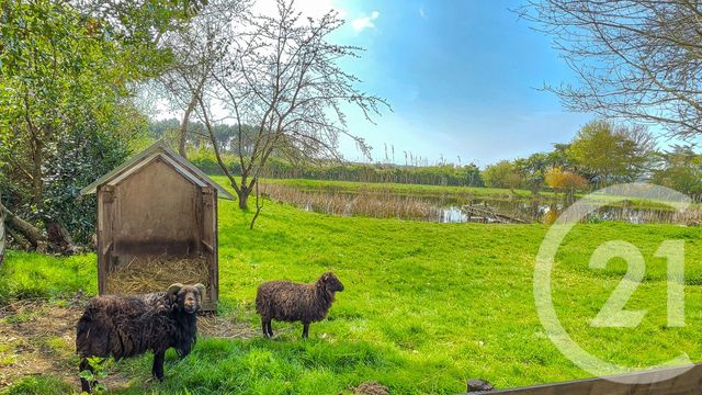 maison à vendre - 6 pièces - 139.18 m2 - L ILE D OLONNE - 85 - PAYS-DE-LOIRE - Century 21 Bleu Marine