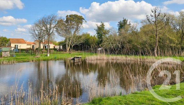 maison - L ILE D OLONNE - 85