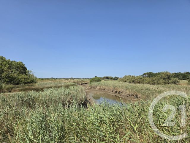 maison à vendre - 5 pièces - 164.0 m2 - OLONNE SUR MER - 85 - PAYS-DE-LOIRE - Century 21 Bleu Marine