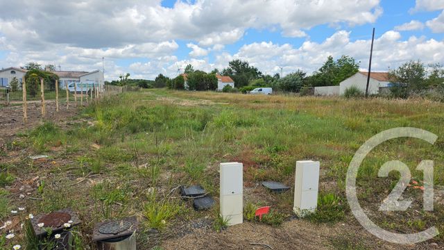 terrain - L ILE D OLONNE - 85