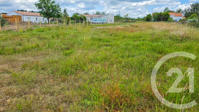 terrain à vendre - 950.0 m2 - L ILE D OLONNE - 85 - PAYS-DE-LOIRE - Century 21 Bleu Marine