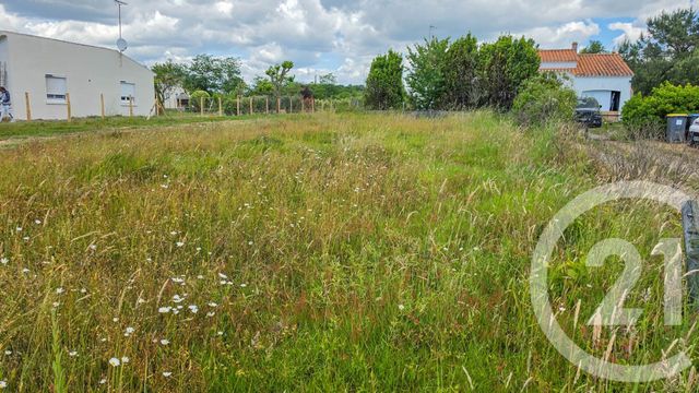 terrain à vendre - 1185.0 m2 - L ILE D OLONNE - 85 - PAYS-DE-LOIRE - Century 21 Bleu Marine