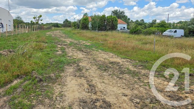 terrain à vendre - 1185.0 m2 - L ILE D OLONNE - 85 - PAYS-DE-LOIRE - Century 21 Bleu Marine