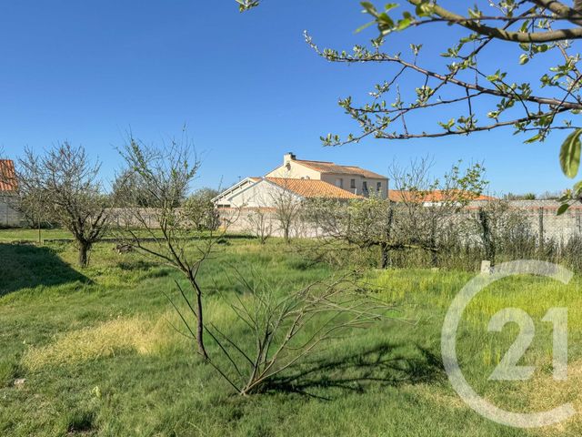 terrain - CHATEAU D OLONNE - 85