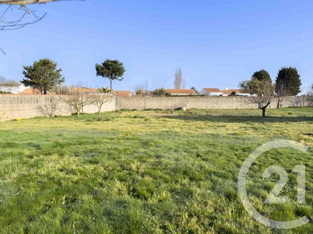 terrain à vendre - 775.0 m2 - CHATEAU D OLONNE - 85 - PAYS-DE-LOIRE - Century 21 Bleu Marine