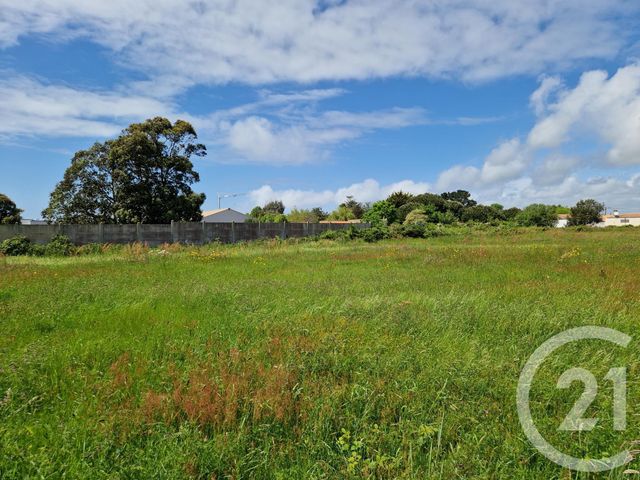 terrain - L ILE D OLONNE - 85