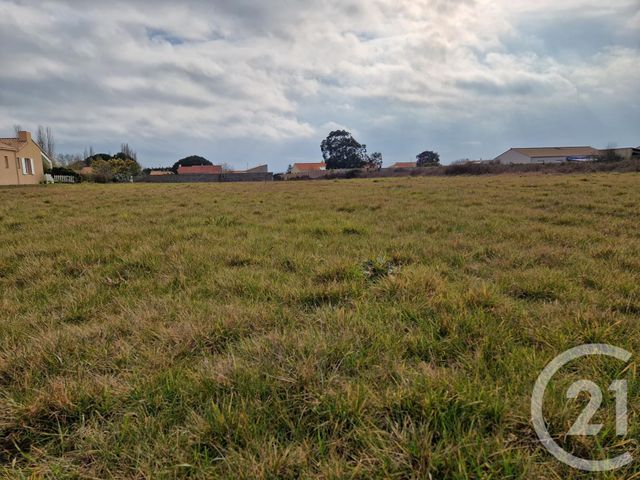 terrain - L ILE D OLONNE - 85