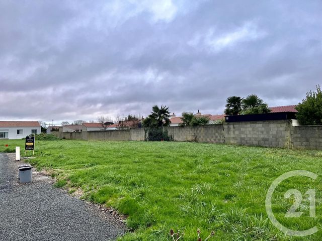 terrain - OLONNE SUR MER - 85