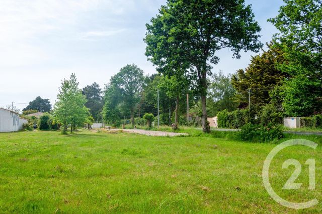 terrain à vendre - 622.0 m2 - GROSBREUIL - 85 - PAYS-DE-LOIRE - Century 21 Bleu Marine