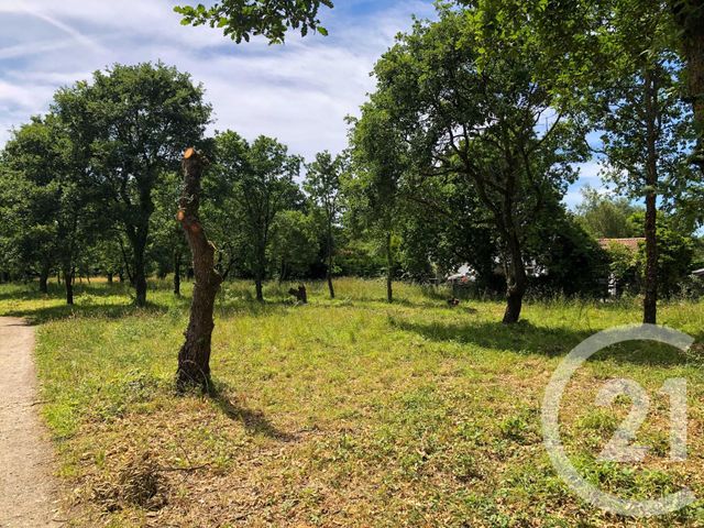 terrain à vendre - 4154.0 m2 - VAIRE - 85 - PAYS-DE-LOIRE - Century 21 Bleu Marine