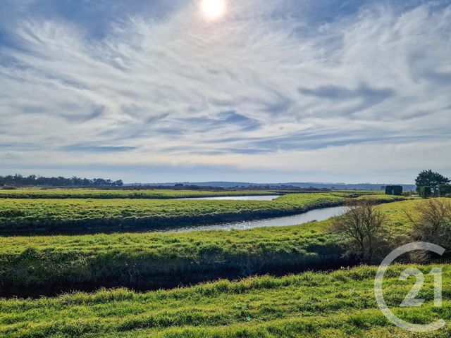 terrain à vendre - 1076.0 m2 - L ILE D OLONNE - 85 - PAYS-DE-LOIRE - Century 21 Bleu Marine